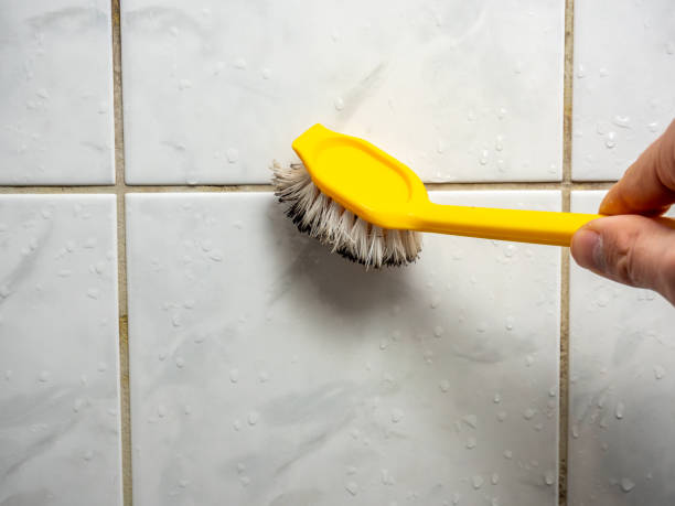 Water Damage Restoration in Wells Branch, TX