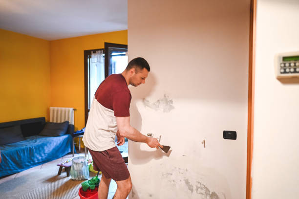 Best Mold Cleaning Services  in Wells Branch, TX